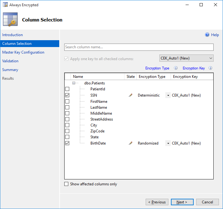 Always Encrypted Column Selection Page